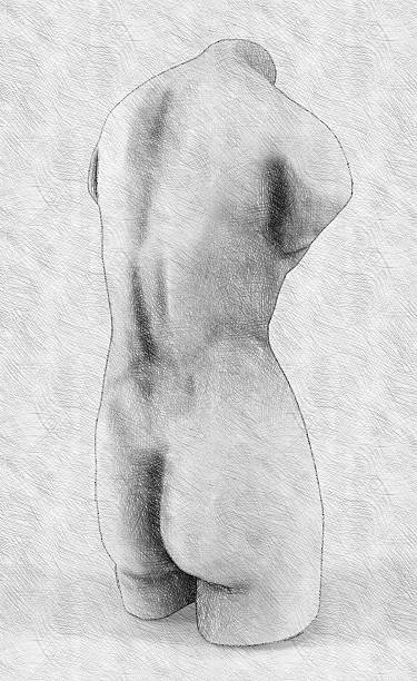 istock Classical draw. Imitation of hand drawing 182245684