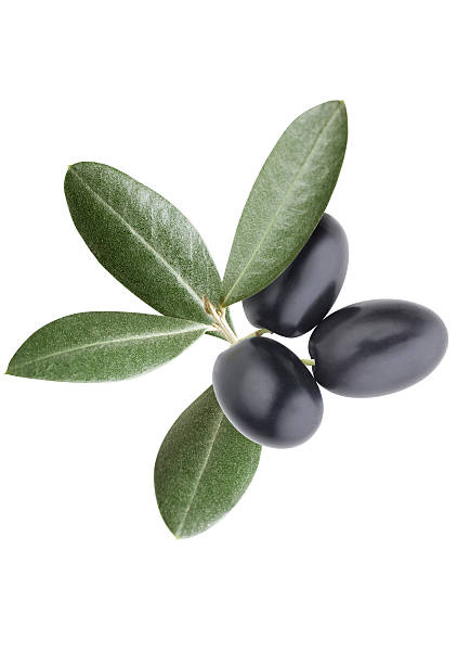 olives - black olive - fotografias e filmes do acervo