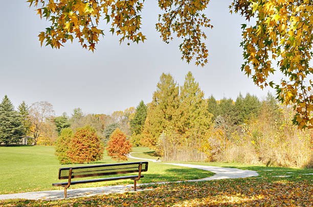 istock Autumn park with a bench and s-shaped footpath 182245789