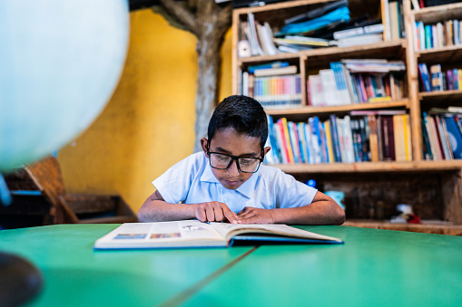 Child boy studyng in the library