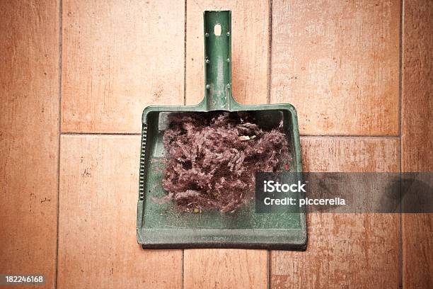 Dustpan Full Of Dust Stock Photo - Download Image Now - Allergy, Cleaning, Concepts
