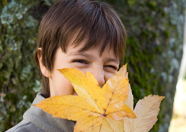 istock Child with a leaf of chestnut tree 182246235
