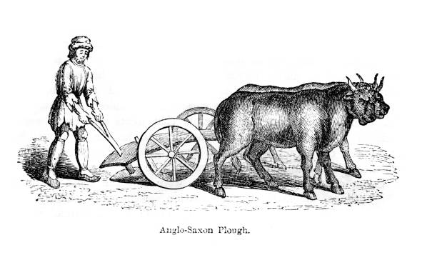 anglo staroangielski plough - ox wóz stock illustrations