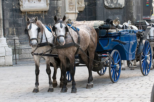 istock Waiting for passengers, Old Town, Vienna 182246288