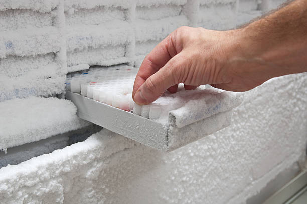 istock Medical samples in -80° C freezer 182246499
