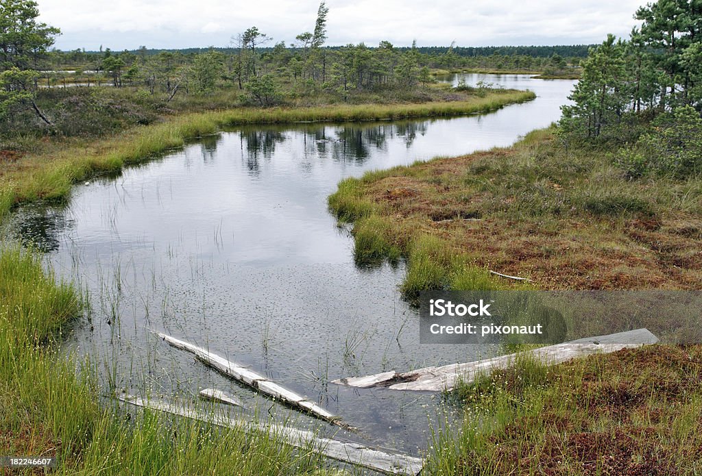 Mystic Moor Area Mystic moor area in Latvia Baltic Countries Stock Photo