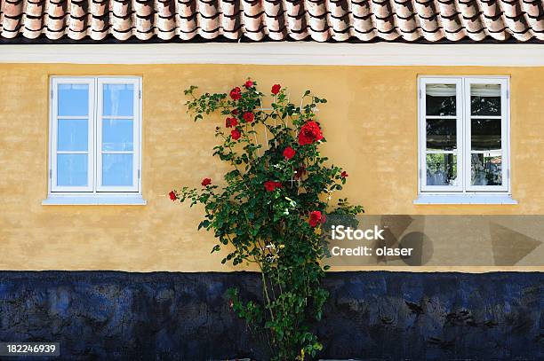 Photo libre de droit de Roses Contre La Façade Classique banque d'images et plus d'images libres de droit de Bâtiment vu de l'extérieur - Bâtiment vu de l'extérieur, Jardin de la maison, Macrophotographie