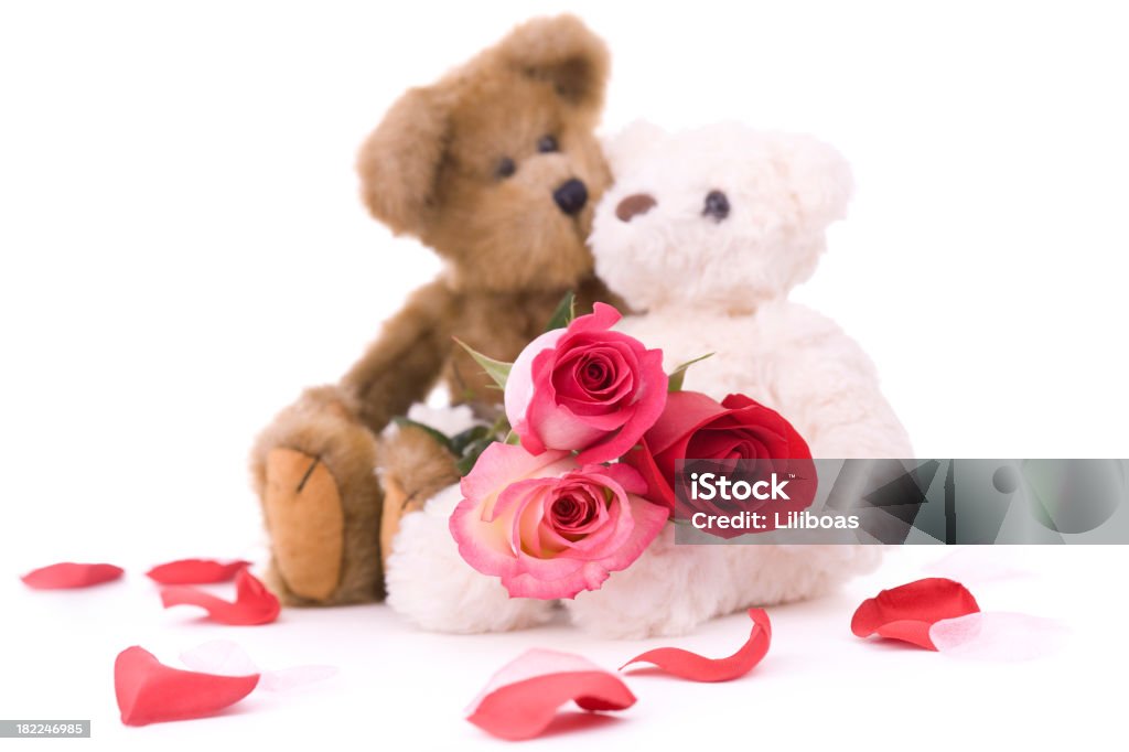 Dia dos Namorados rosas - Royalty-free Bicho de Pelúcia Foto de stock