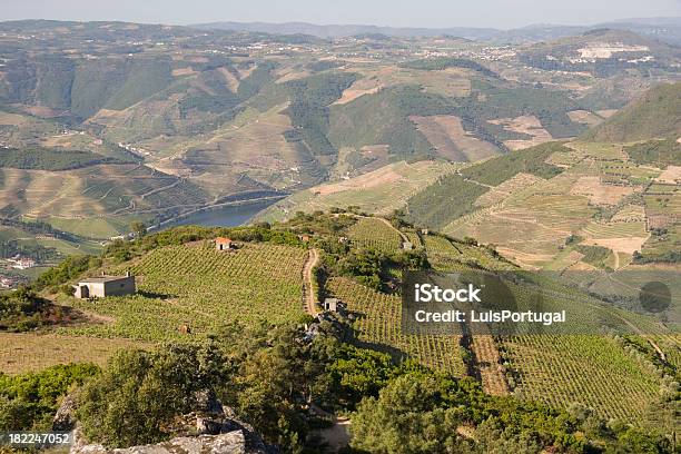 Photo libre de droit de Vallée Du Douro banque d'images et plus d'images libres de droit de Agriculture - Agriculture, Aliments et boissons, Champ