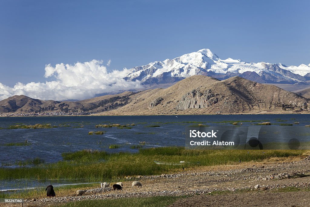 Vue sur le Lac Titicaca et la cordillère des Andes - Photo de La cordillère Royale libre de droits