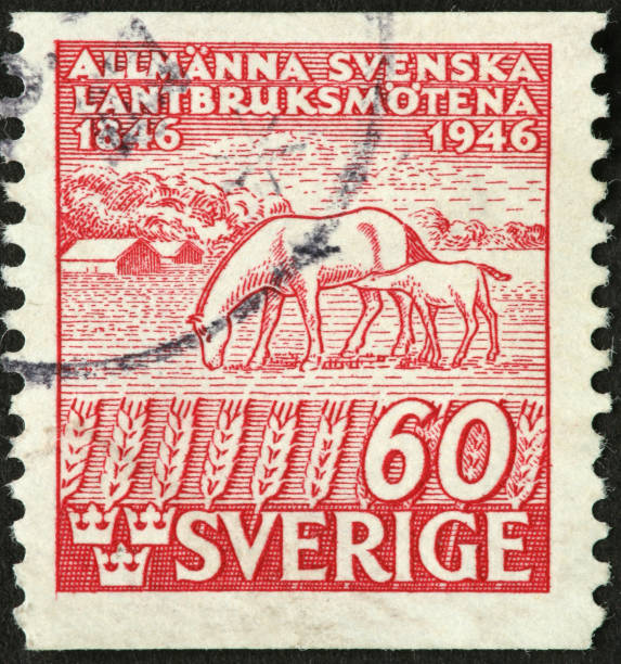 istock mare and nursing foal on an old Swedish stamp 182247557