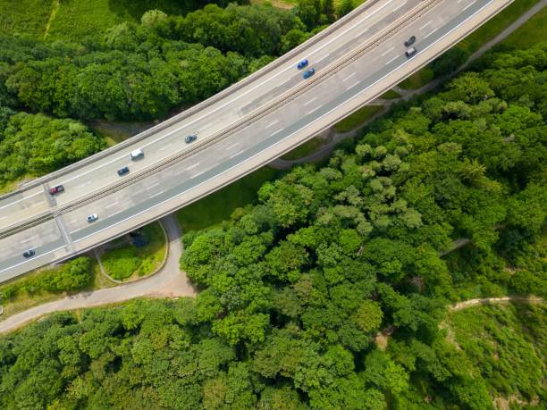 istock a freeway is going through the forest in a green area 1822479147