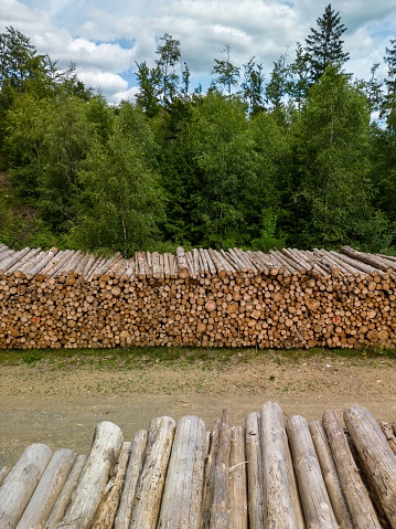 A picture of an extensive collection of cut logs scattered across a dirt field