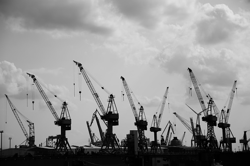 silhouette harbor cranes in Hamburg