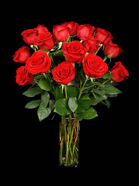 Red Roses in a Vase on Black