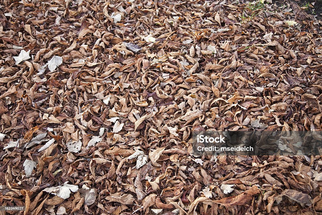 Dry Herbst leafs - Lizenzfrei Abstrakt Stock-Foto