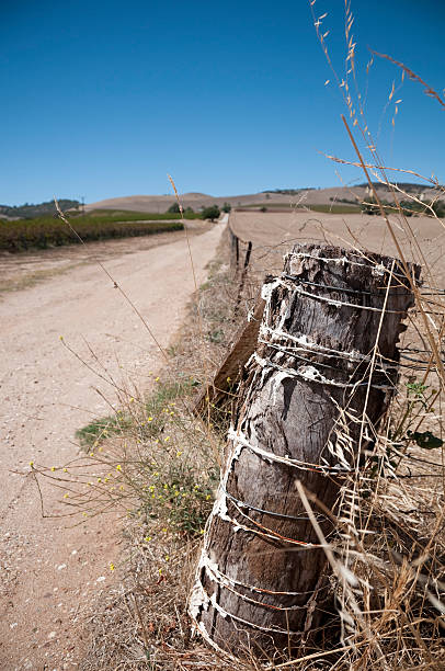 istock Farm fence country road paddock australia 182249049