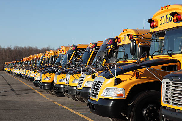 istock Row of Yellow School Buses in Summer 182249548
