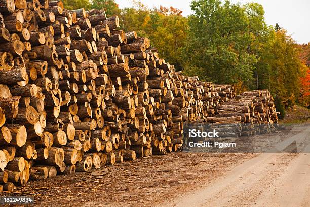 Piles Of Wood By A Lumber Mill Stock Photo - Download Image Now - Color Image, Construction Industry, Cross Section