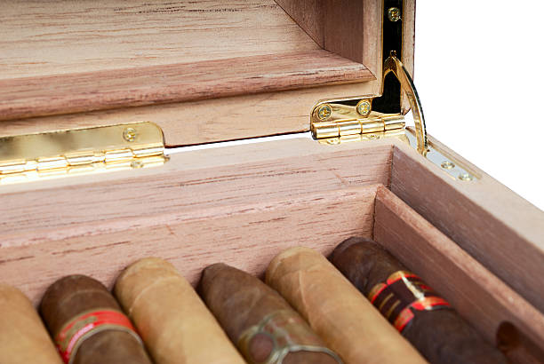 Cigars Inside of the Humidor