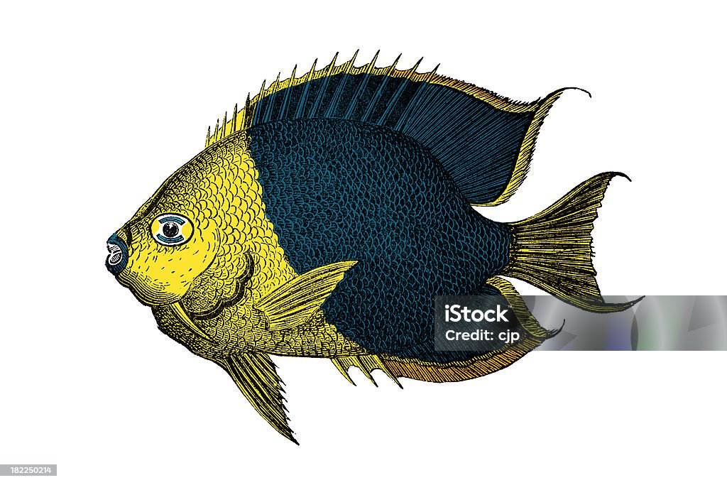 Pesci tropicali incisione - Illustrazione stock royalty-free di Mondo marino