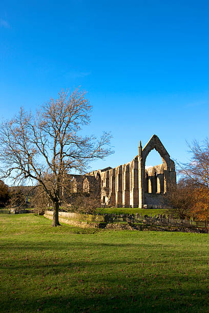 istock Bolton Abbey North Yorkshire 182250754