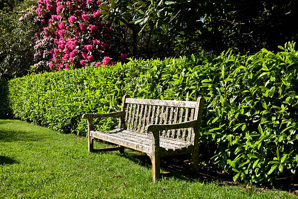 istock Open Seat in the Garden 182250931