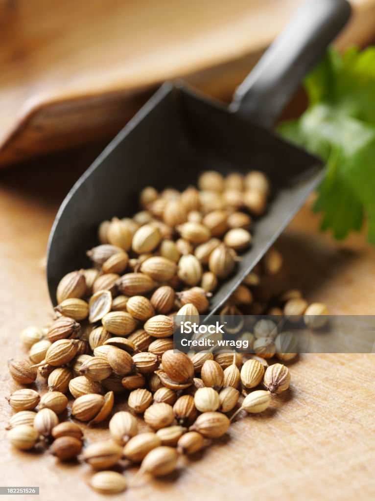 Semilla de coriandro una cuchara de Metal - Foto de stock de Alimento libre de derechos