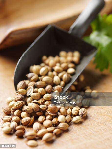 Semilla De Coriandro Una Cuchara De Metal Foto de stock y más banco de imágenes de Alimento - Alimento, Alimentos deshidratados, Cocinar