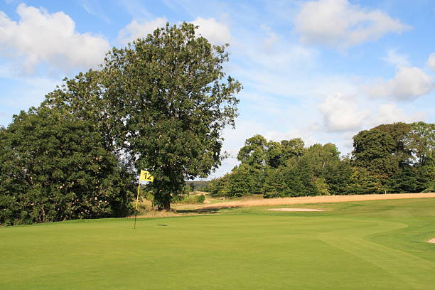 istock Flag at hole no. 12 on a golf course 182251976