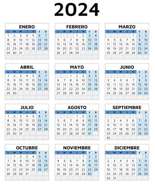 2024 spanish calendar. Printable vector template illustration in Spain. Vertical vector art illustration