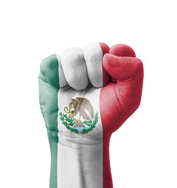 Fist of Mexico flag painted, multi purpose concept stock photo