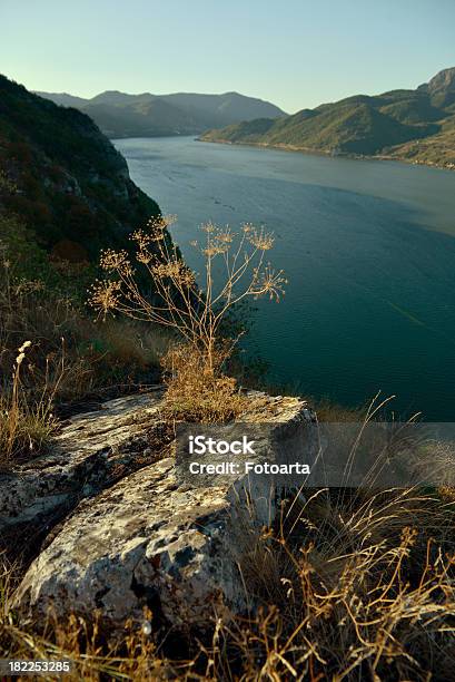 Gole Del Danubio - Fotografie stock e altre immagini di Acqua - Acqua, Acqua fluente, Albero
