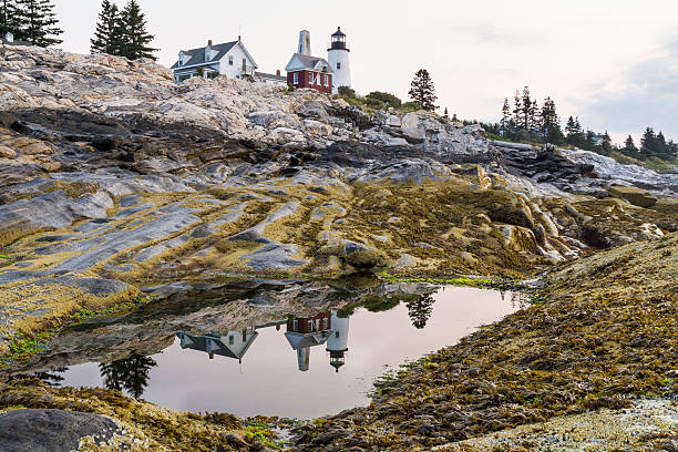 pemaquid point licht zeigt sich im preis. - pemaquid peninsula lighthouse maine pemaquid point stock-fotos und bilder