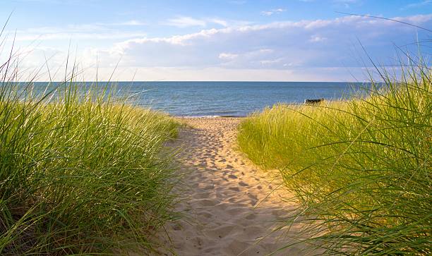 Summer Breeze Sunlight dances on dune grass as the warm summer breeze blows.  Port Crescent State Park.  Port Austin, Michigan Michigan stock pictures, royalty-free photos & images