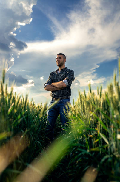 istock Young farmer standing in a green wheat field examining crop. 1822550008