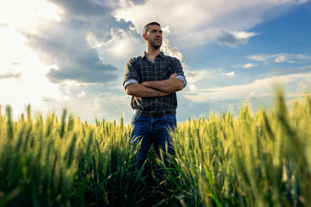 istock Young farmer standing in a green wheat field examining crop. 1822550038