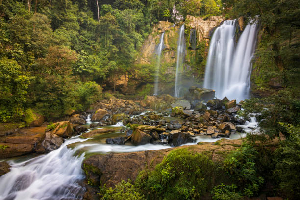 der wunderschöne nauyaca-wasserfall im nauyaca-wasserfall-naturpark (costa rica) - costa rica waterfall heaven rainforest stock-fotos und bilder