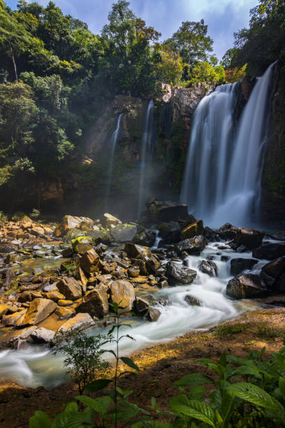 나우야카 폭포 자연 공원(코스타리카)의 아름다운 나우야카 폭포 - costa rica waterfall heaven rainforest 뉴스 사진 이미지