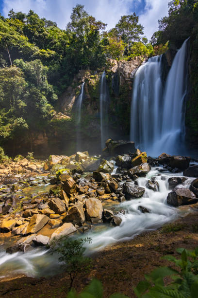 der wunderschöne nauyaca-wasserfall im nauyaca-wasserfall-naturpark (costa rica) - costa rica waterfall heaven rainforest stock-fotos und bilder