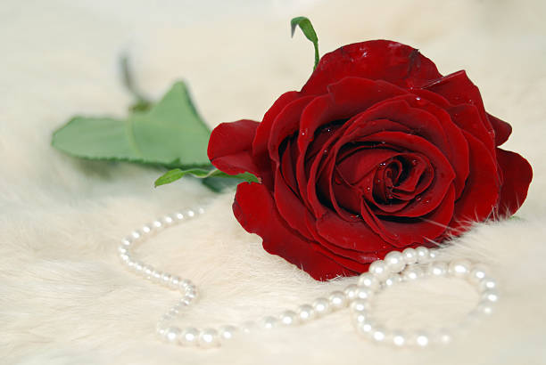 istock red rose and pearls 182255425