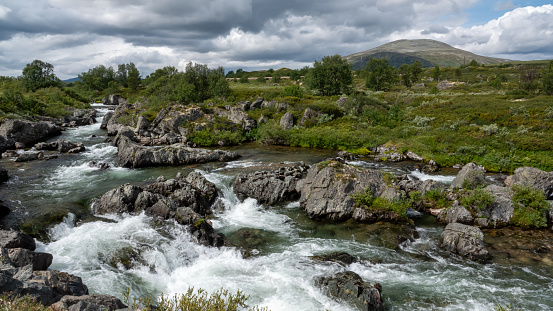 Landscape with with wild river in the Dovrefjell nature reserve in Central Norway