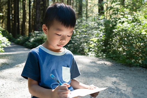 Little boy observing trees writing in notebook in forest