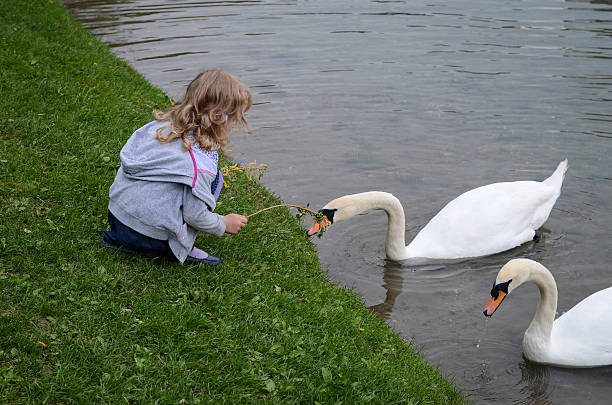 istock girl and the swan 182256678