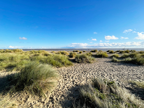 A sandy path between grassy dunes leads to the sea at Port Melbourne in Victoria, Australia