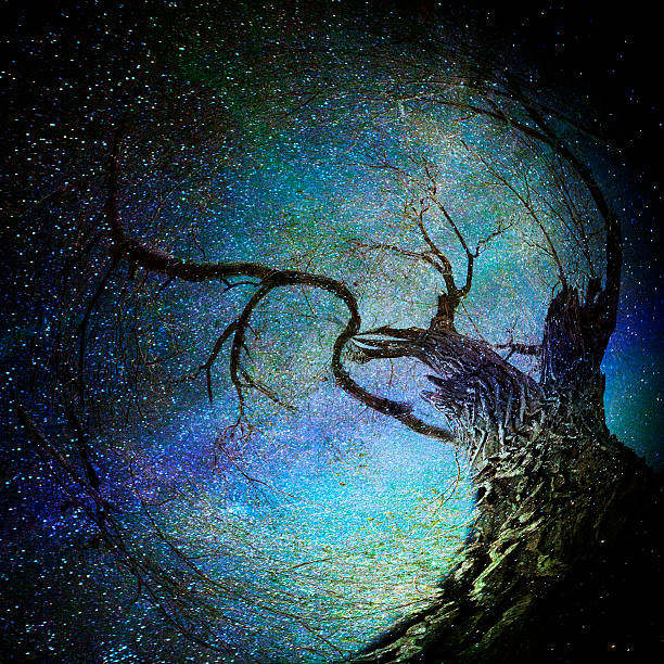 Magic árvore - foto de acervo