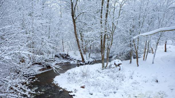 istock Snowy winter river in the forest. Beautiful winter landscape. 1822602984