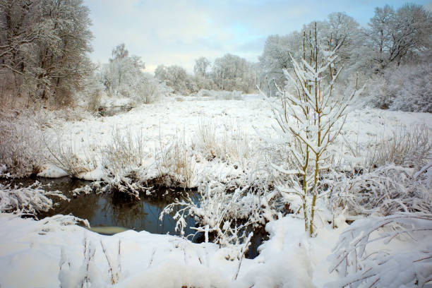 istock Snowy winter river in the forest. Beautiful winter landscape. 1822602985