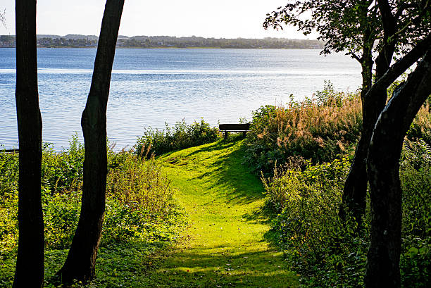 istock Green grass to the sea 182261520