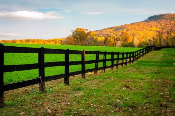Sunlight shines on Sugarloaf Mountain behind a field of green grass lined by a long wooden fence.